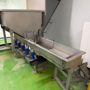 Syspal Vibrator Conveyor